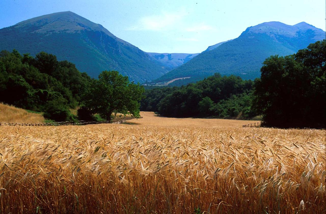 Agriturismo Casale Nel Parco Dei Monti Sibillini Norcia Exterior foto